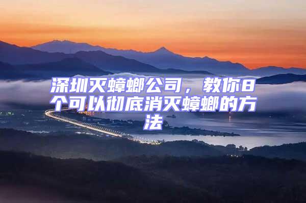 深圳滅蟑螂公司,教你8個可以徹底消滅蟑螂的方法