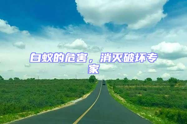 白蟻的危害，消滅破壞專家