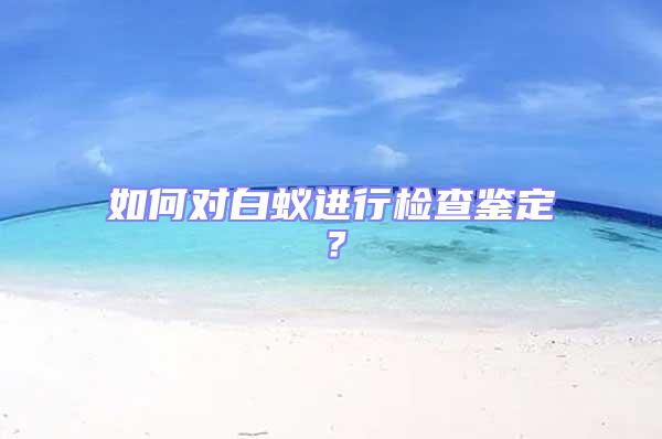 如何對白蟻進行檢查鑒定？