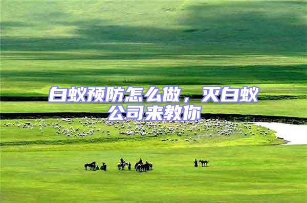 白蟻預防怎么做,滅白蟻公司來教你