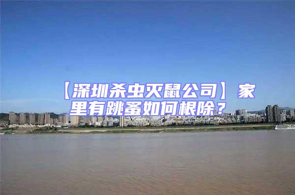 【深圳殺蟲(chóng)滅鼠公司】家里有跳蚤如何根除?