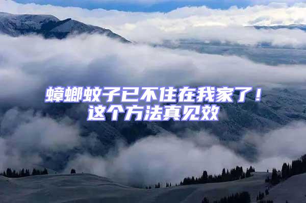 蟑螂蚊子已不住在我家了！這個方法真見效