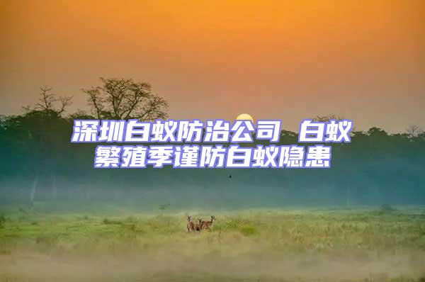深圳白蟻防治公司 白蟻繁殖季謹(jǐn)防白蟻隱患