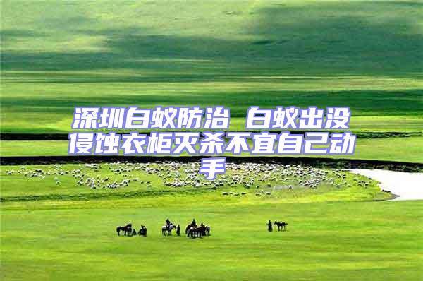 深圳白蟻防治 白蟻出沒侵蝕衣柜滅殺不宜自己動手