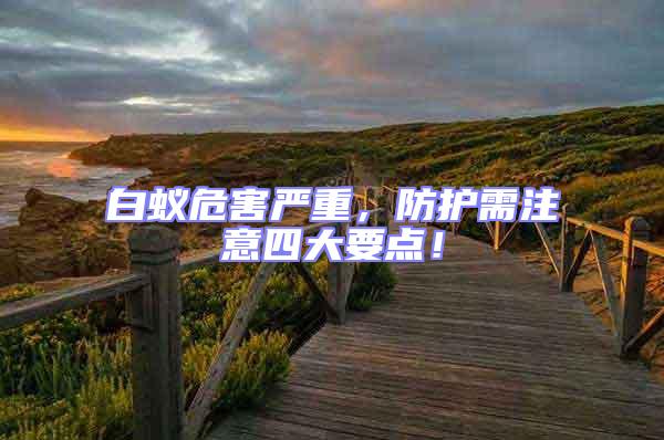 白蟻危害嚴(yán)重，防護(hù)需注意四大要點(diǎn)！