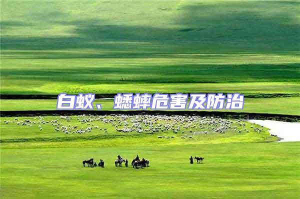 白蟻、蟋蟀危害及防治