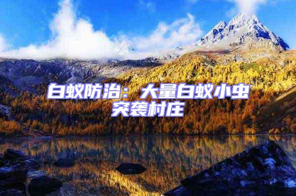 白蟻防治:大量白蟻小蟲突襲村莊