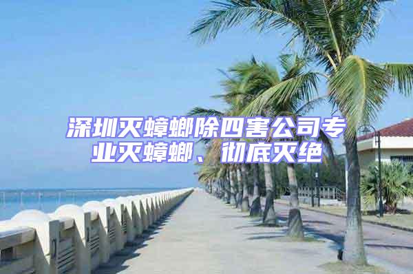 深圳滅蟑螂除四害公司專業滅蟑螂、徹底滅絕