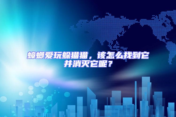 蟑螂愛玩躲貓貓,該怎么找到它并消滅它呢?