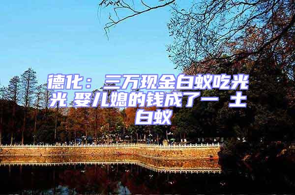 德化：三萬現金白蟻吃光光　娶兒媳的錢成了一抔土 白蟻