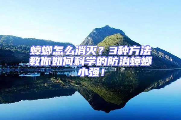 蟑螂怎么消滅？3種方法教你如何科學(xué)的防治蟑螂小強(qiáng)！