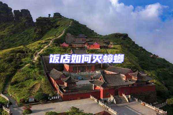 飯店如何滅蟑螂