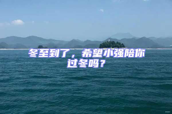 冬至到了，希望小強陪你過冬嗎？