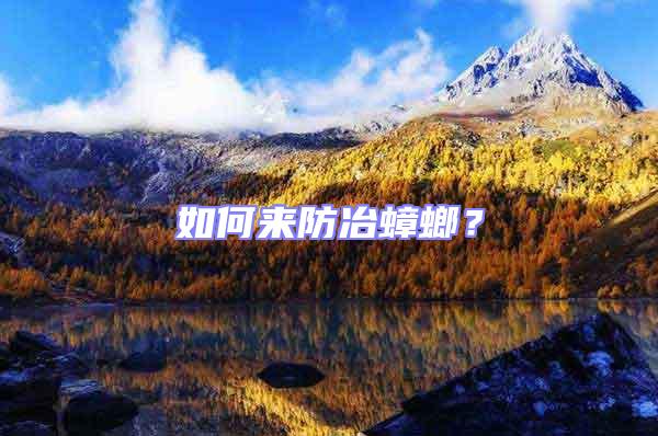 如何來防冶蟑螂？