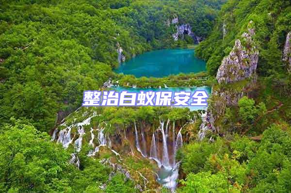 整治白蟻保安全