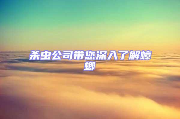 殺蟲(chóng)公司帶您深入了解蟑螂