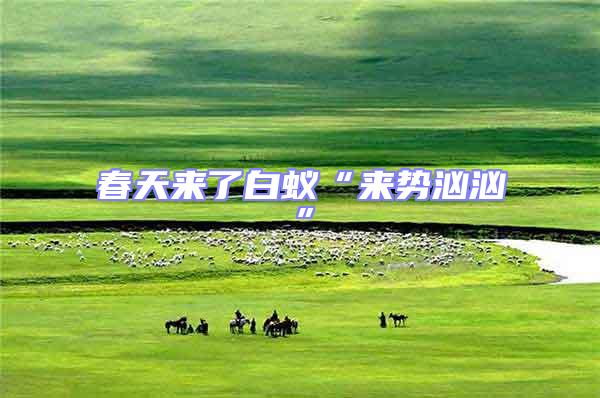 春天來(lái)了白蟻“來(lái)勢(shì)洶洶”