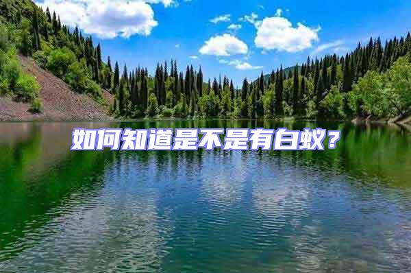 如何知道是不是有白蟻？