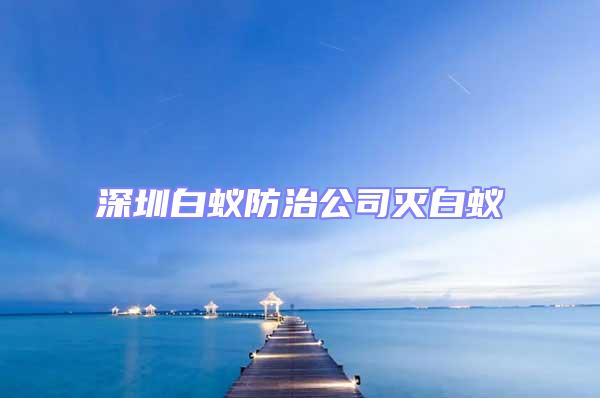 深圳白蟻防治公司滅白蟻