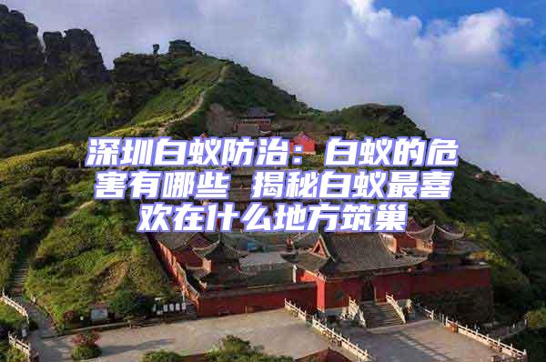 深圳白蟻防治：白蟻的危害有哪些 揭秘白蟻?zhàn)钕矚g在什么地方筑巢
