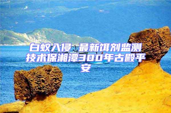 白蟻入侵 最新餌劑監測技術保湘潭300年古殿平安