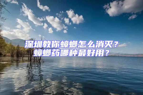 深圳教你蟑螂怎么消滅？蟑螂藥哪種最好用？