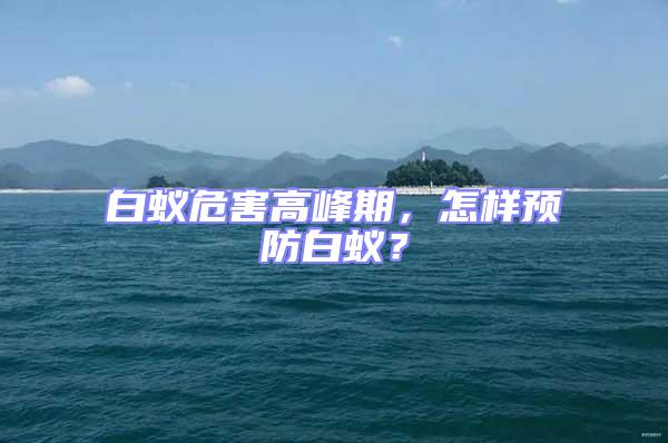 白蟻危害高峰期，怎樣預(yù)防白蟻？