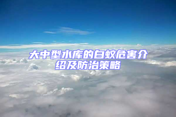 大中型水庫的白蟻危害介紹及防治策略