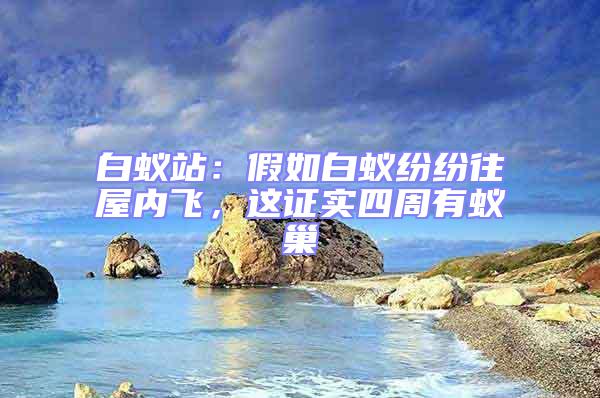 白蟻站：假如白蟻紛紛往屋內(nèi)飛，這證實(shí)四周有蟻巢