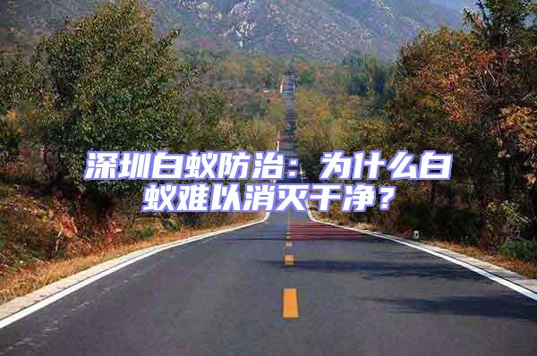 深圳白蟻防治：為什么白蟻難以消滅干凈？
