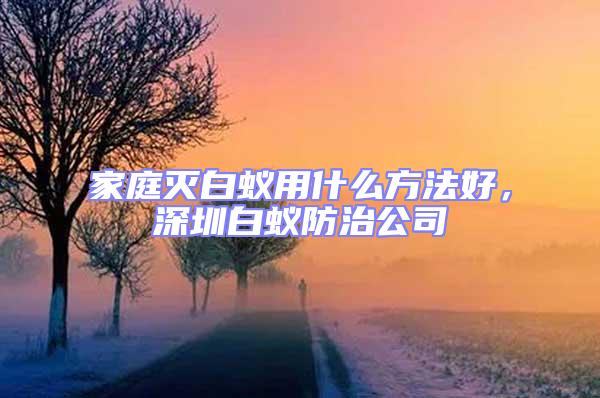 家庭滅白蟻用什么方法好，深圳白蟻防治公司