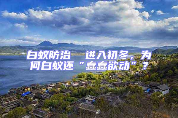 白蟻防治  進入初冬，為何白蟻還“蠢蠢欲動”？