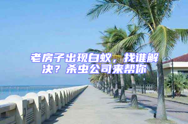 老房子出現白蟻，找誰解決？殺蟲公司來幫你
