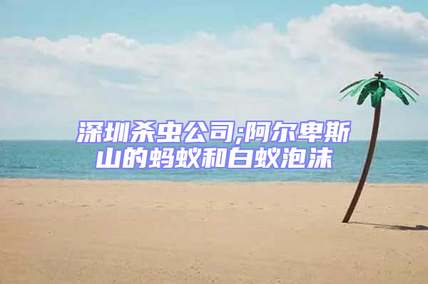 深圳殺蟲(chóng)公司;阿爾卑斯山的螞蟻和白蟻泡沫