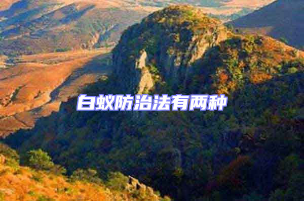 白蟻防治法有兩種