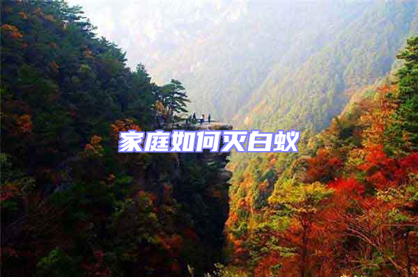 家庭如何滅白蟻