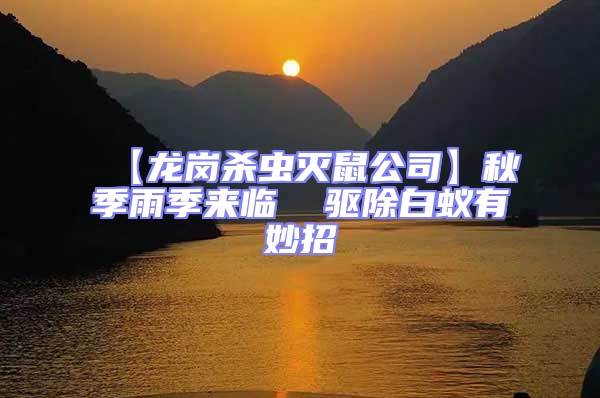 【龍崗殺蟲滅鼠公司】秋季雨季來臨  驅(qū)除白蟻有妙招