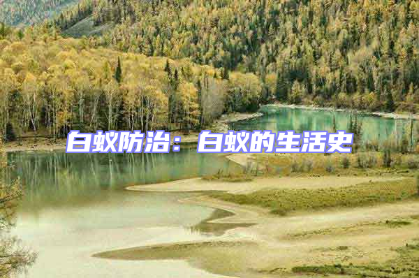 白蟻防治:白蟻的生活史