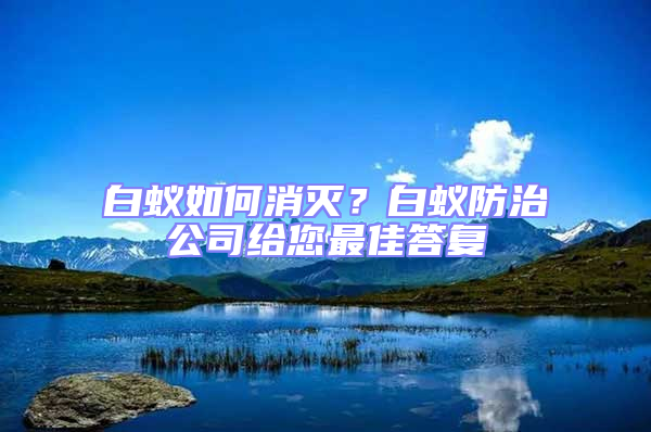 白蟻如何消滅？白蟻防治公司給您最佳答復(fù)