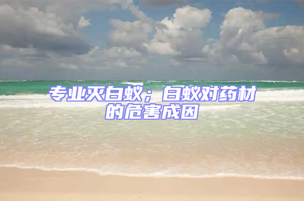 專業滅白蟻；白蟻對藥材的危害成因