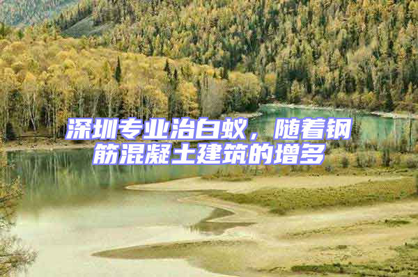 深圳專業(yè)治白蟻，隨著鋼筋混凝土建筑的增多