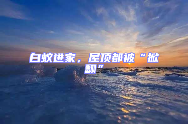 白蟻進家，屋頂都被“掀翻”