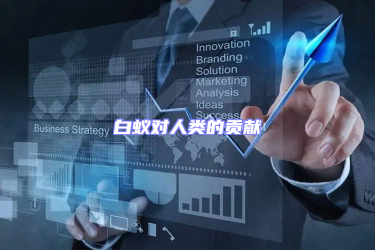 白蟻對人類的貢獻(xiàn)