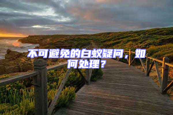 不可避免的白蟻疑問,如何處理?