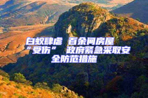 白蟻肆虐 百余間房屋“受傷” 政府緊急采取安全防范措施
