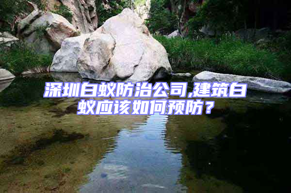 深圳白蟻防治公司,建筑白蟻應該如何預防？