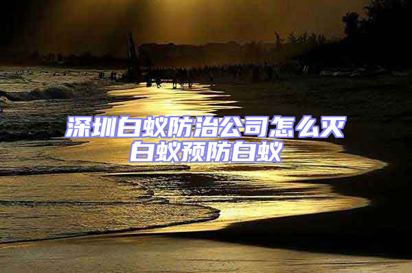 深圳白蟻防治公司怎么滅白蟻預防白蟻