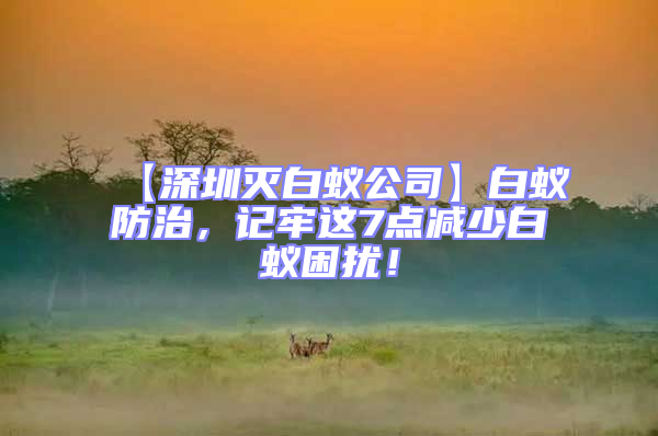 【深圳滅白蟻公司】白蟻防治,記牢這7點減少白蟻困擾!