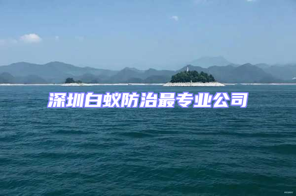 深圳白蟻防治最專業公司