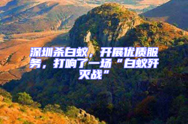 深圳殺白蟻，開展優質服務，打響了一場“白蟻殲滅戰”